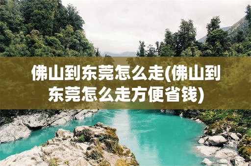 佛山到东莞怎么走(佛山到东莞怎么走方便省钱)