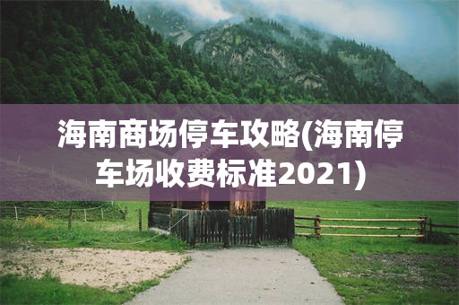 海南商场停车攻略(海南停车场收费标准2021)