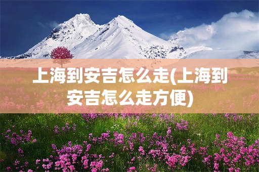 上海到安吉怎么走(上海到安吉怎么走方便)