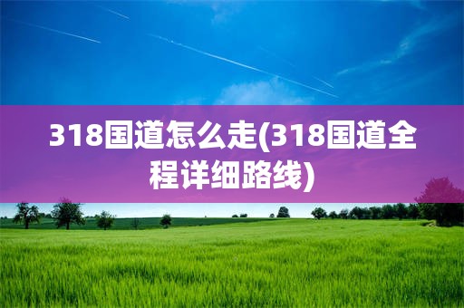 318国道怎么走(318国道全程详细路线)