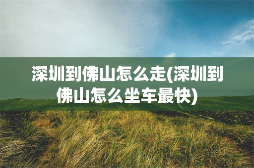 深圳到佛山怎么走(深圳到佛山怎么坐车最快)