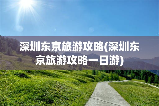 深圳东京旅游攻略(深圳东京旅游攻略一日游)