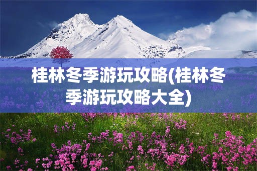 桂林冬季游玩攻略(桂林冬季游玩攻略大全)