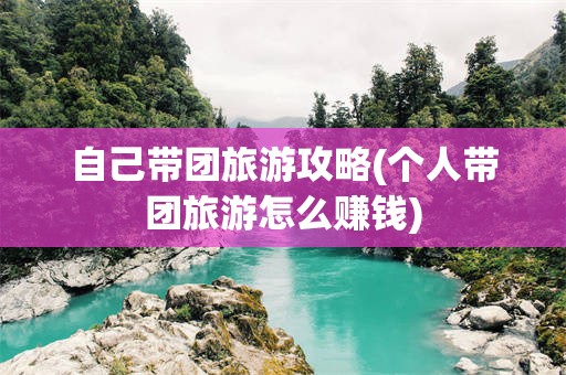 自己带团旅游攻略(个人带团旅游怎么赚钱)