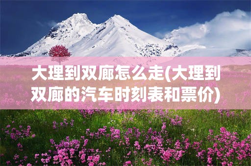 大理到双廊怎么走(大理到双廊的汽车时刻表和票价)