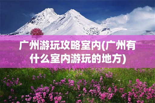 广州游玩攻略室内(广州有什么室内游玩的地方)