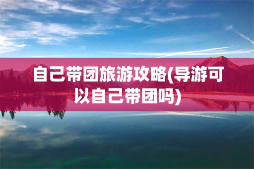 自己带团旅游攻略(导游可以自己带团吗)