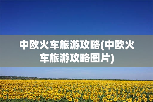 中欧火车旅游攻略(中欧火车旅游攻略图片)