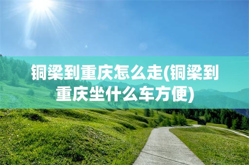 铜梁到重庆怎么走(铜梁到重庆坐什么车方便)