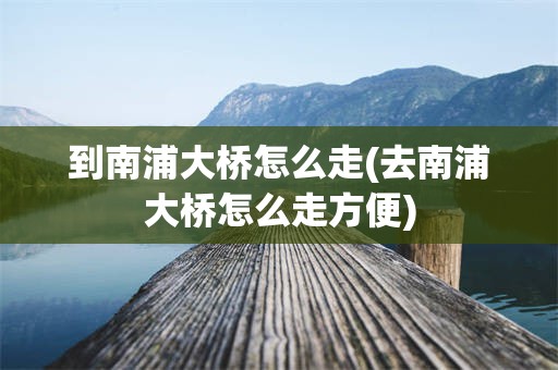 到南浦大桥怎么走(去南浦大桥怎么走方便)