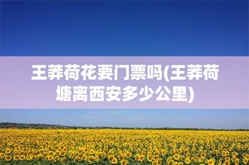 王莽荷花要门票吗(王莽荷塘离西安多少公里)