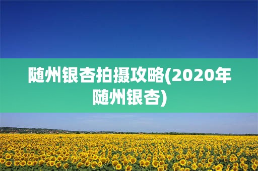 随州银杏拍摄攻略(2020年随州银杏)