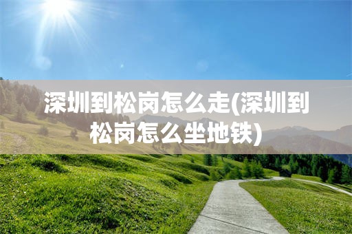 深圳到松岗怎么走(深圳到松岗怎么坐地铁)