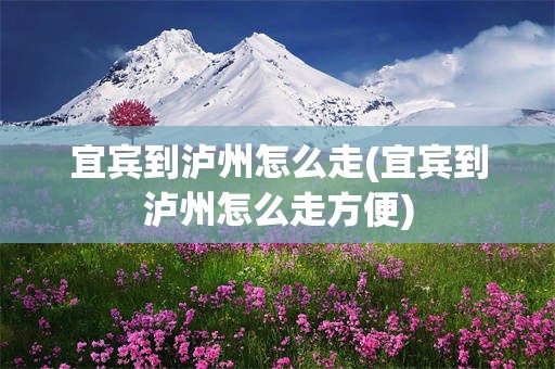 宜宾到泸州怎么走(宜宾到泸州怎么走方便)