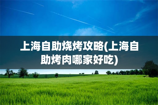 上海自助烧烤攻略(上海自助烤肉哪家好吃)