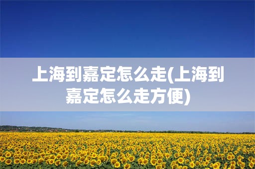 上海到嘉定怎么走(上海到嘉定怎么走方便)