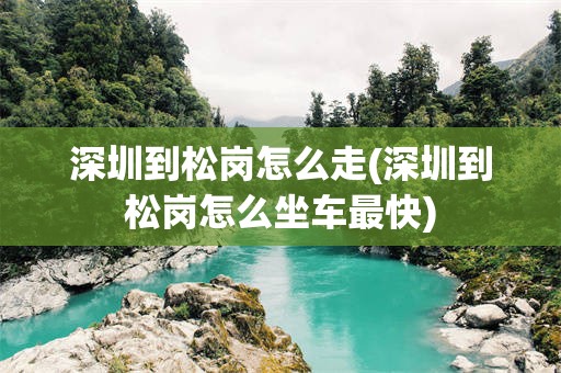 深圳到松岗怎么走(深圳到松岗怎么坐车最快)