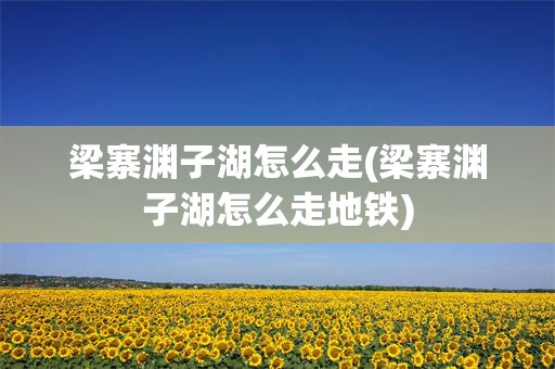 梁寨渊子湖怎么走(梁寨渊子湖怎么走地铁)