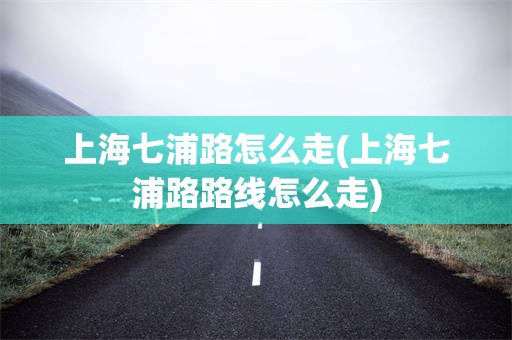 上海七浦路怎么走(上海七浦路路线怎么走)