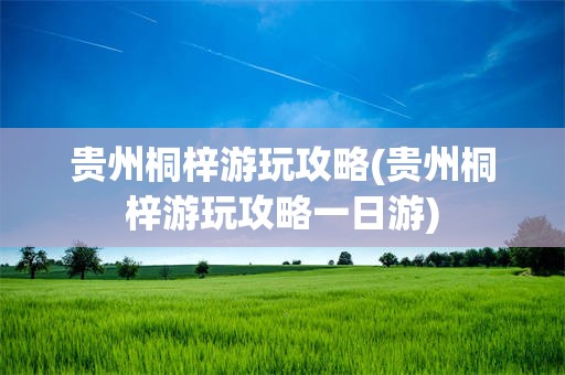 贵州桐梓游玩攻略(贵州桐梓游玩攻略一日游)