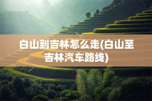 白山到吉林怎么走(白山至吉林汽车路线)