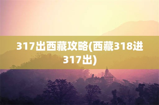 317出西藏攻略(西藏318进317出)