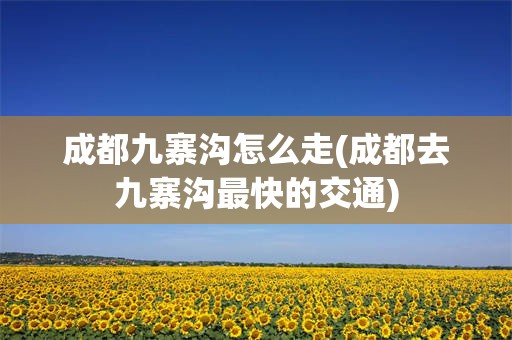 成都九寨沟怎么走(成都去九寨沟最快的交通)