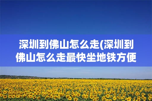 深圳到佛山怎么走(深圳到佛山怎么走最快坐地铁方便)