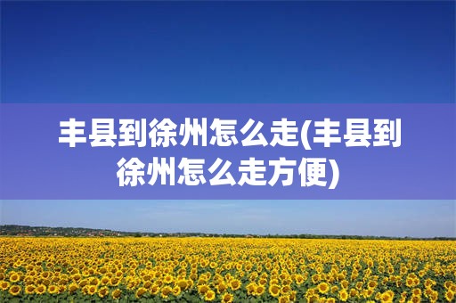 丰县到徐州怎么走(丰县到徐州怎么走方便)