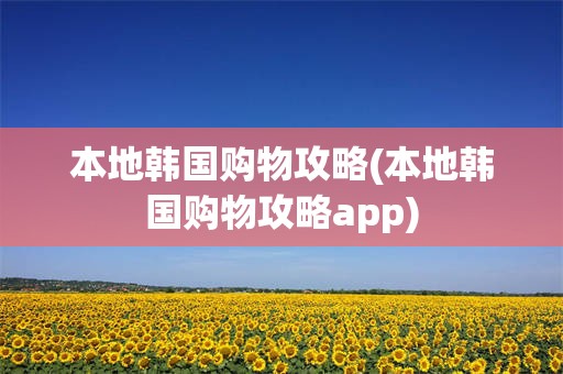 本地韩国购物攻略(本地韩国购物攻略app)