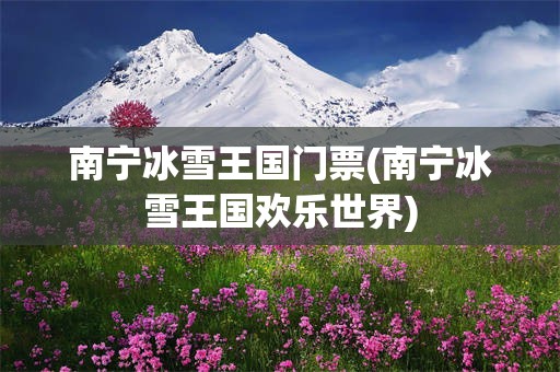 南宁冰雪王国门票(南宁冰雪王国欢乐世界)