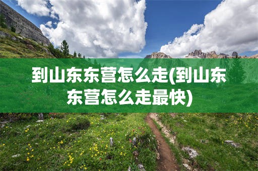 到山东东营怎么走(到山东东营怎么走最快)