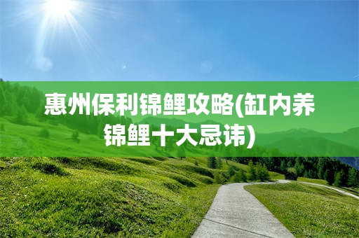 惠州保利锦鲤攻略(缸内养锦鲤十大忌讳)