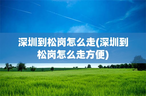 深圳到松岗怎么走(深圳到松岗怎么走方便)