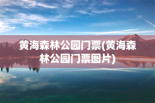 黄海森林公园门票(黄海森林公园门票图片)