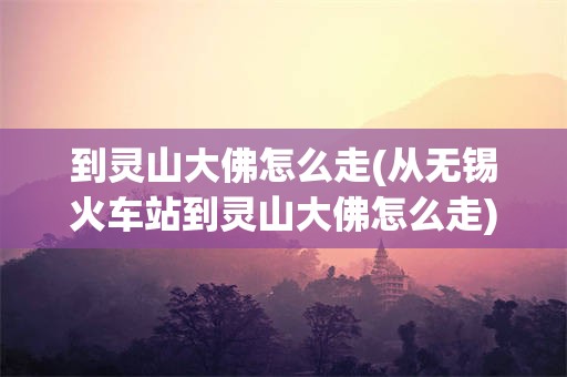 到灵山大佛怎么走(从无锡火车站到灵山大佛怎么走)