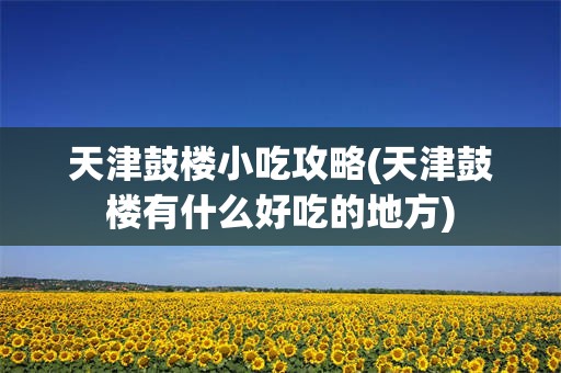 天津鼓楼小吃攻略(天津鼓楼有什么好吃的地方)