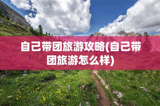 自己带团旅游攻略(自己带团旅游怎么样)