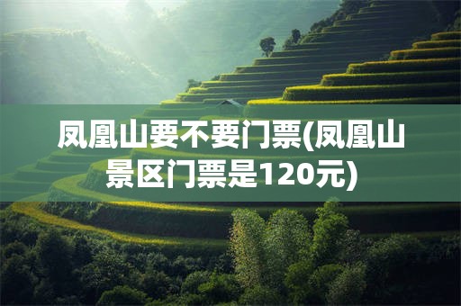 凤凰山要不要门票(凤凰山景区门票是120元)