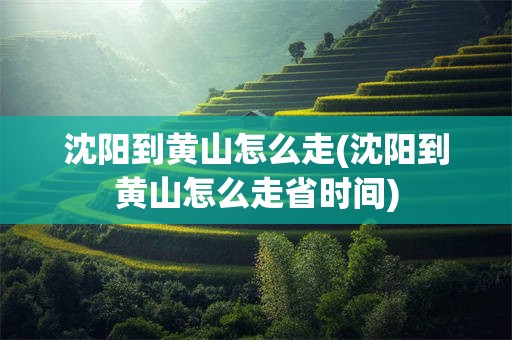 沈阳到黄山怎么走(沈阳到黄山怎么走省时间)