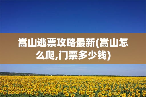 嵩山逃票攻略最新(嵩山怎么爬,门票多少钱)