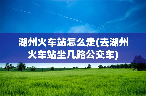 湖州火车站怎么走(去湖州火车站坐几路公交车)