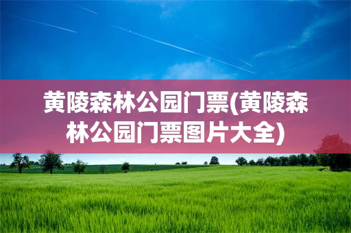 黄陵森林公园门票(黄陵森林公园门票图片大全)