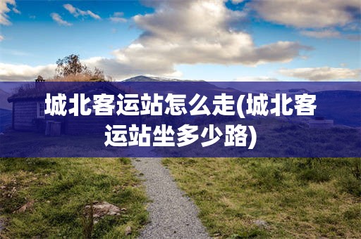 城北客运站怎么走(城北客运站坐多少路)