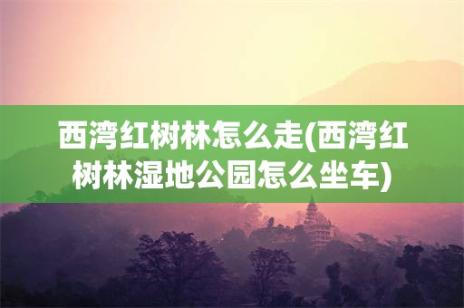 西湾红树林怎么走(西湾红树林湿地公园怎么坐车)