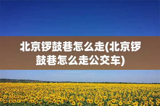 北京锣鼓巷怎么走(北京锣鼓巷怎么走公交车)