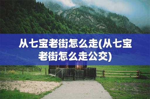 从七宝老街怎么走(从七宝老街怎么走公交)