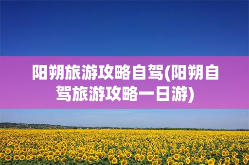 阳朔旅游攻略自驾(阳朔自驾旅游攻略一日游)