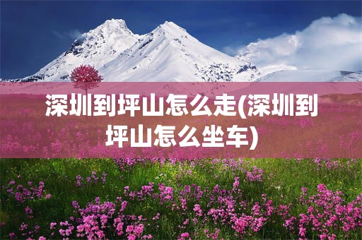 深圳到坪山怎么走(深圳到坪山怎么坐车)