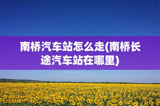 南桥汽车站怎么走(南桥长途汽车站在哪里)